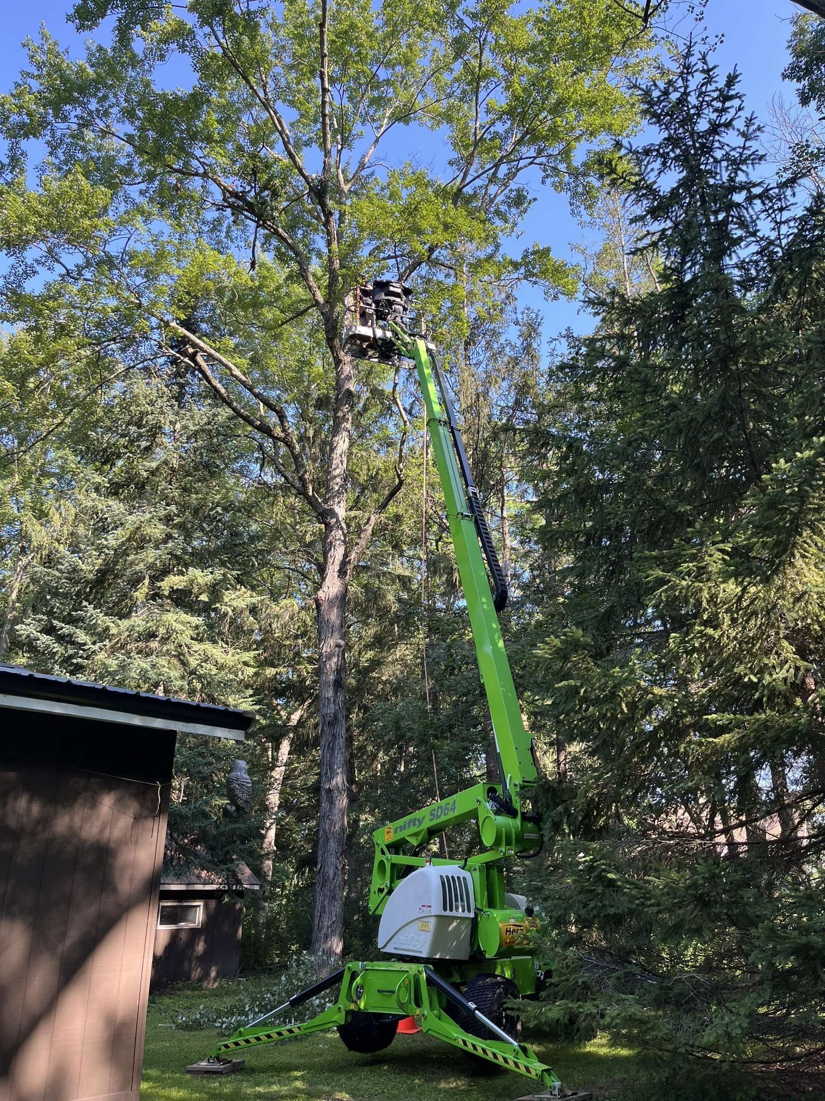 Tree Trimming in Waupaca, WI