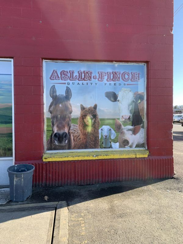 A red building facade features a window display with a poster of a horse, alpaca, goat, and cow, labeled 