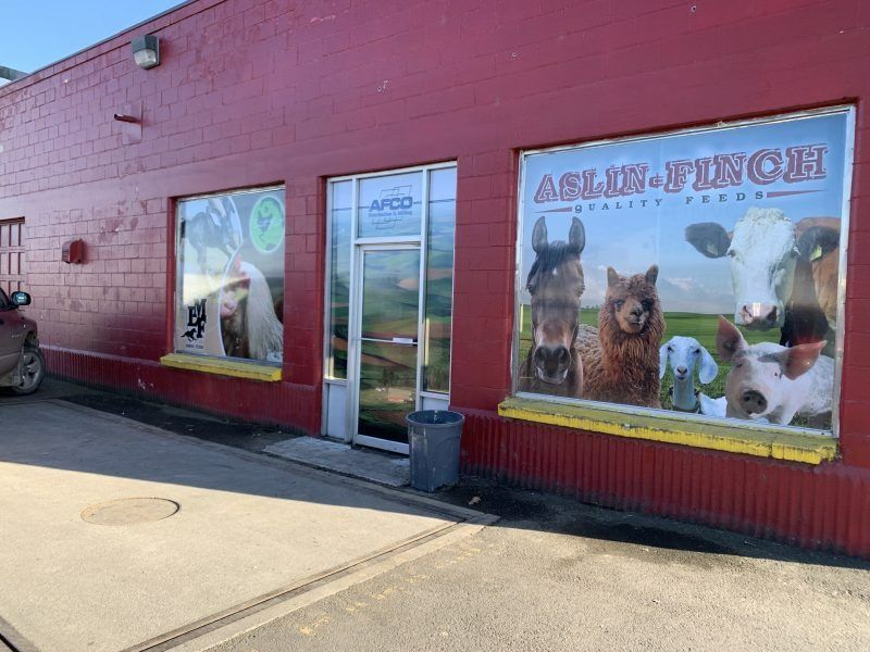 The red-bricked storefront of Aslin-Finch features large windows displaying photos of various farm animals.