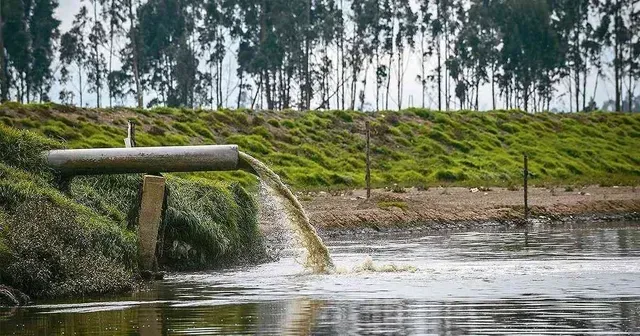 Tubería de drenaje pluvial que descarga agua turbia en un estanque junto a un terraplén cubierto de hierba y árboles.