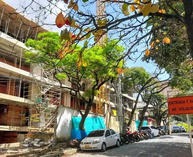 Calle arbolada con coches aparcados junto a edificios bajos en un día soleado.