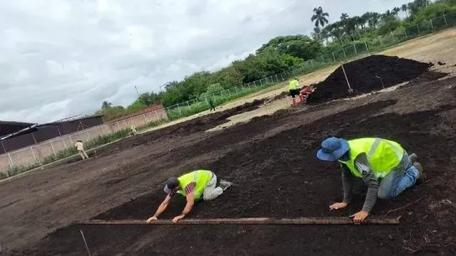 Dos trabajadores con chalecos reflectantes están arrodillados en un campo oscuro, plantando o cuidando la tierra cerca de las hileras de cultivos.
