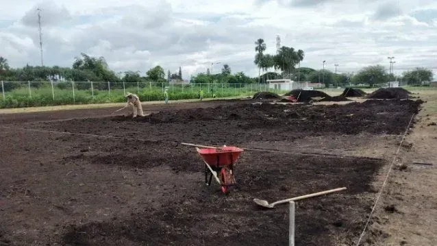 Campo de cultivo con tierra oscura, una carretilla roja y trabajadores bajo un cielo nublado.