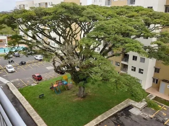 Un gran árbol frondoso da sombra a un patio cubierto de césped con un pequeño parque infantil junto a coches aparcados y edificios.