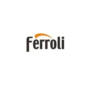 Logotipo de Ferroli en negro con un arco naranja sobre el nombre de la marca, sobre un fondo blanco.