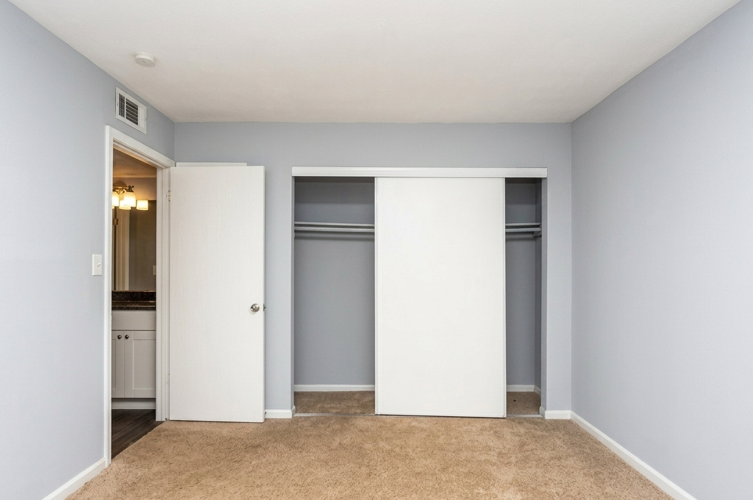 The Woods At Peppertree closet view