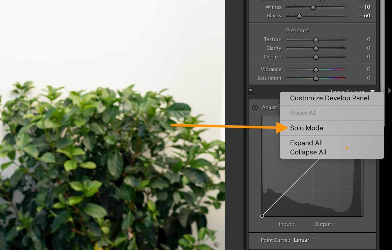 A computer screen shows a picture of a plant and a menu that says develop panel