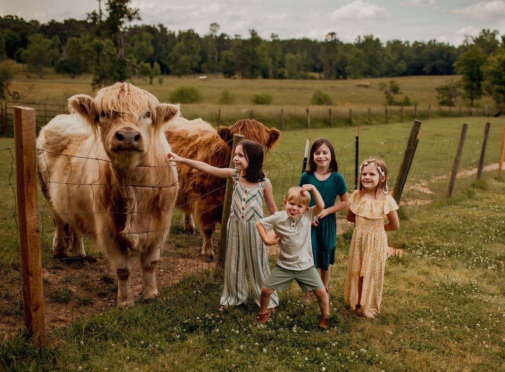 A group of children are petting a cow in a field.