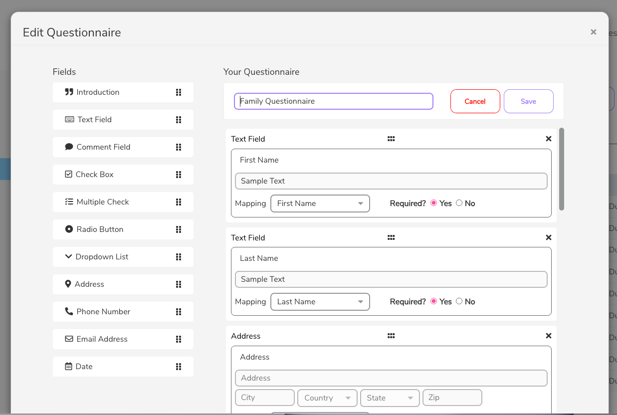 Iris Works client questionnaire used within automated workflows