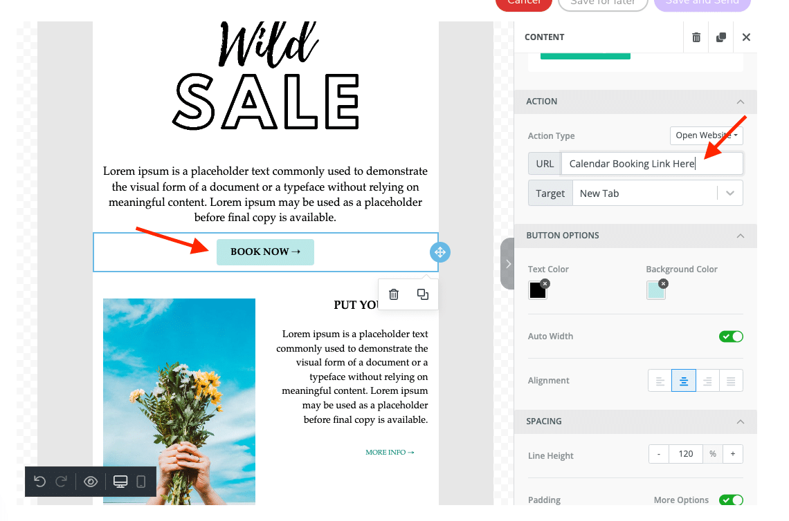 Creative photographer designing an email newsletter