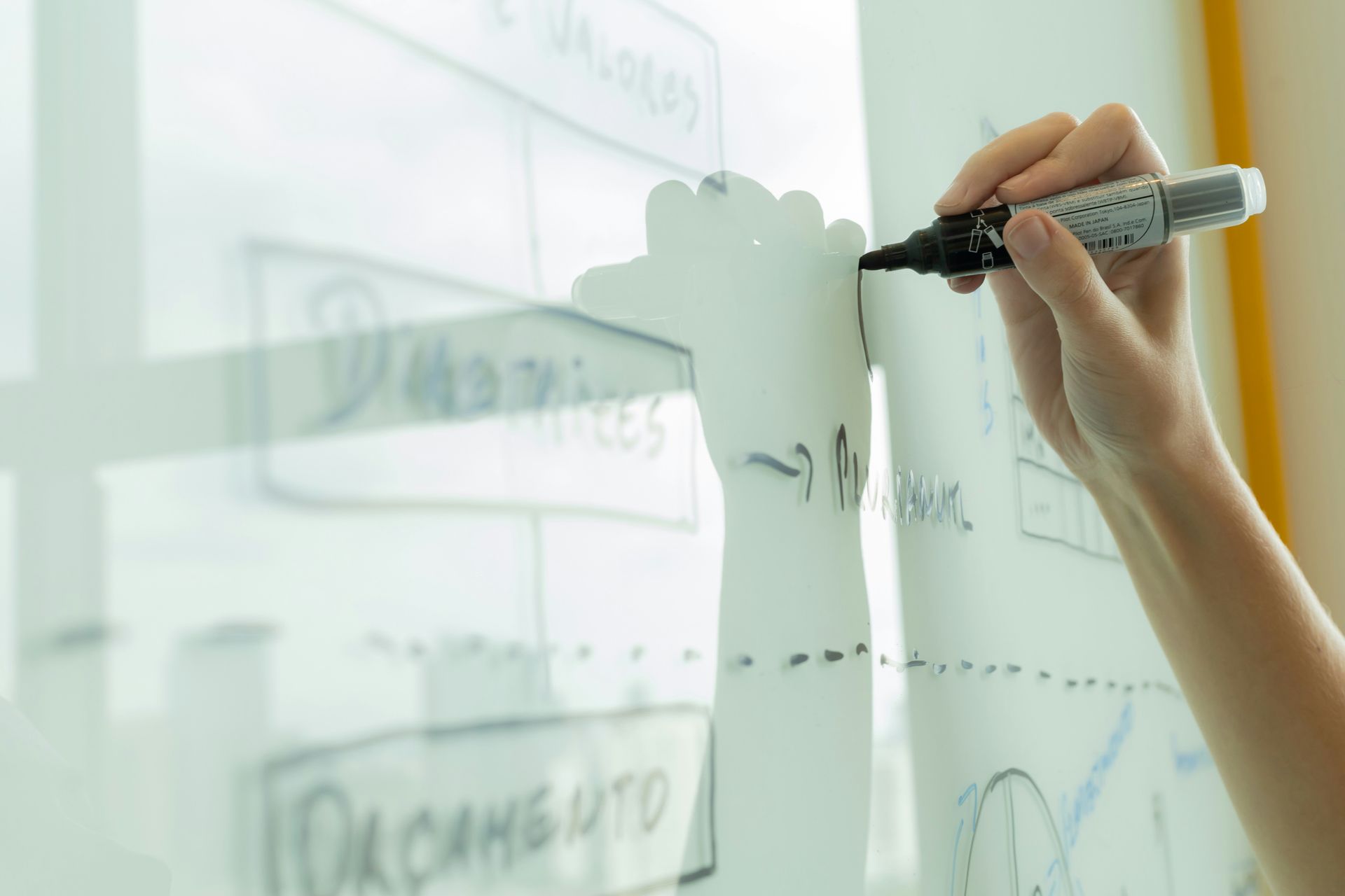 workflow automation for photographers