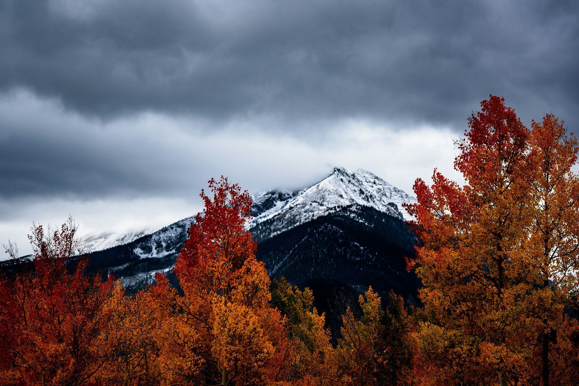 fall photography