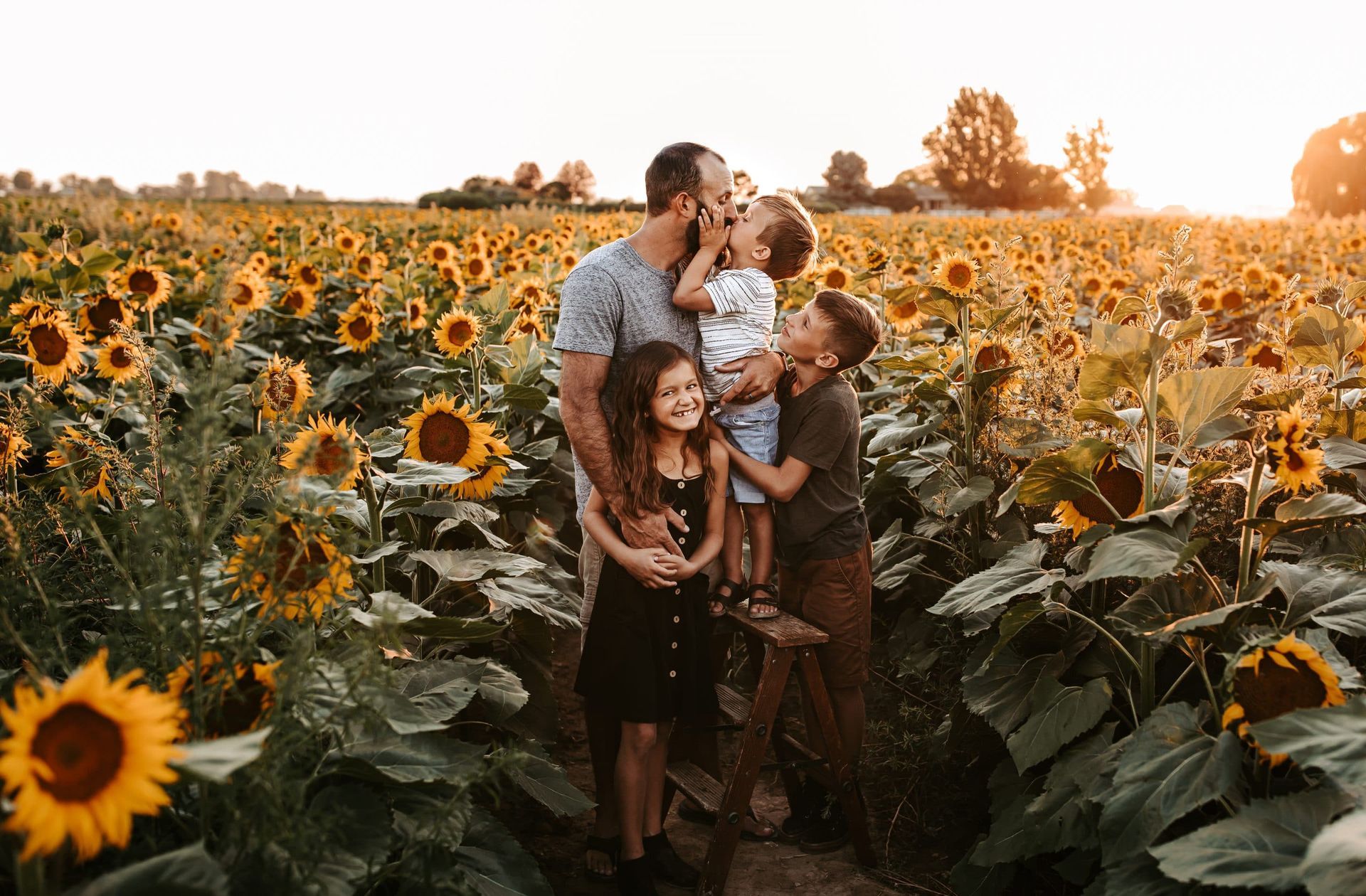 A man and three children are standing in a field of sunflowers.