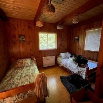 A bedroom with two beds and a dog in it.