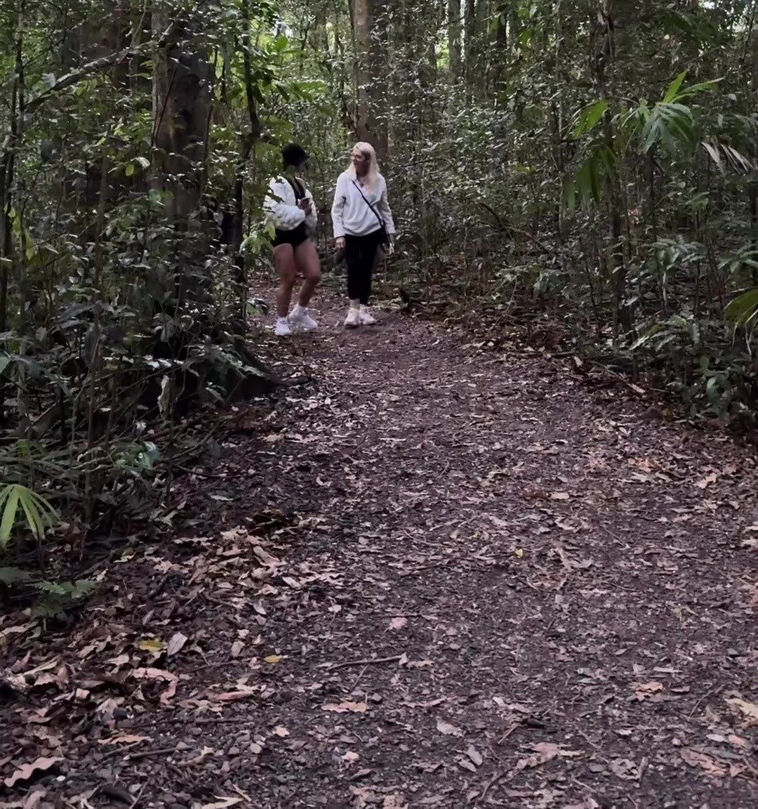 Sandie walking a rainforest path with a friend