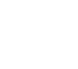 AO Logo