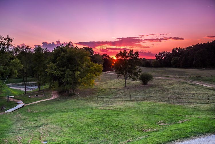 Sunset over a grassy field, trees, and a pond. Pink and purple sky with sun peaking through clouds.