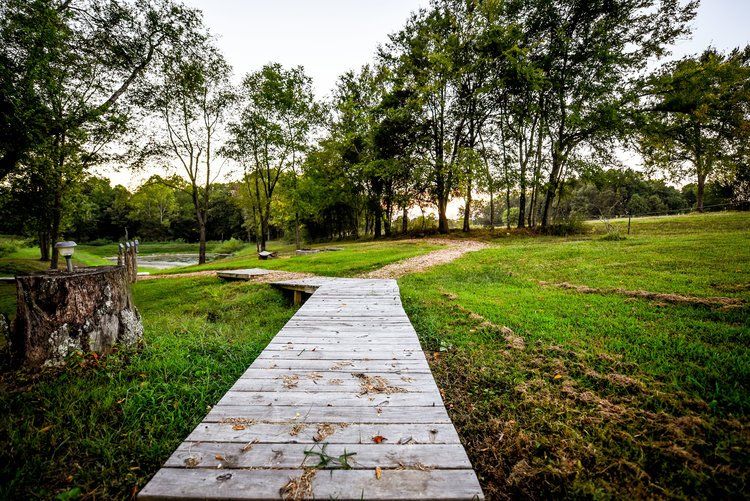 Wooden bridge leads through green grass toward trees at dusk.