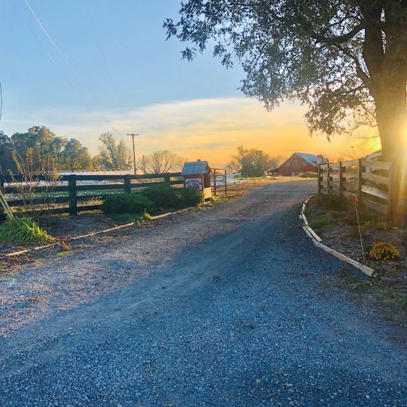 Entrance of By Faith farm at sunset showing the 