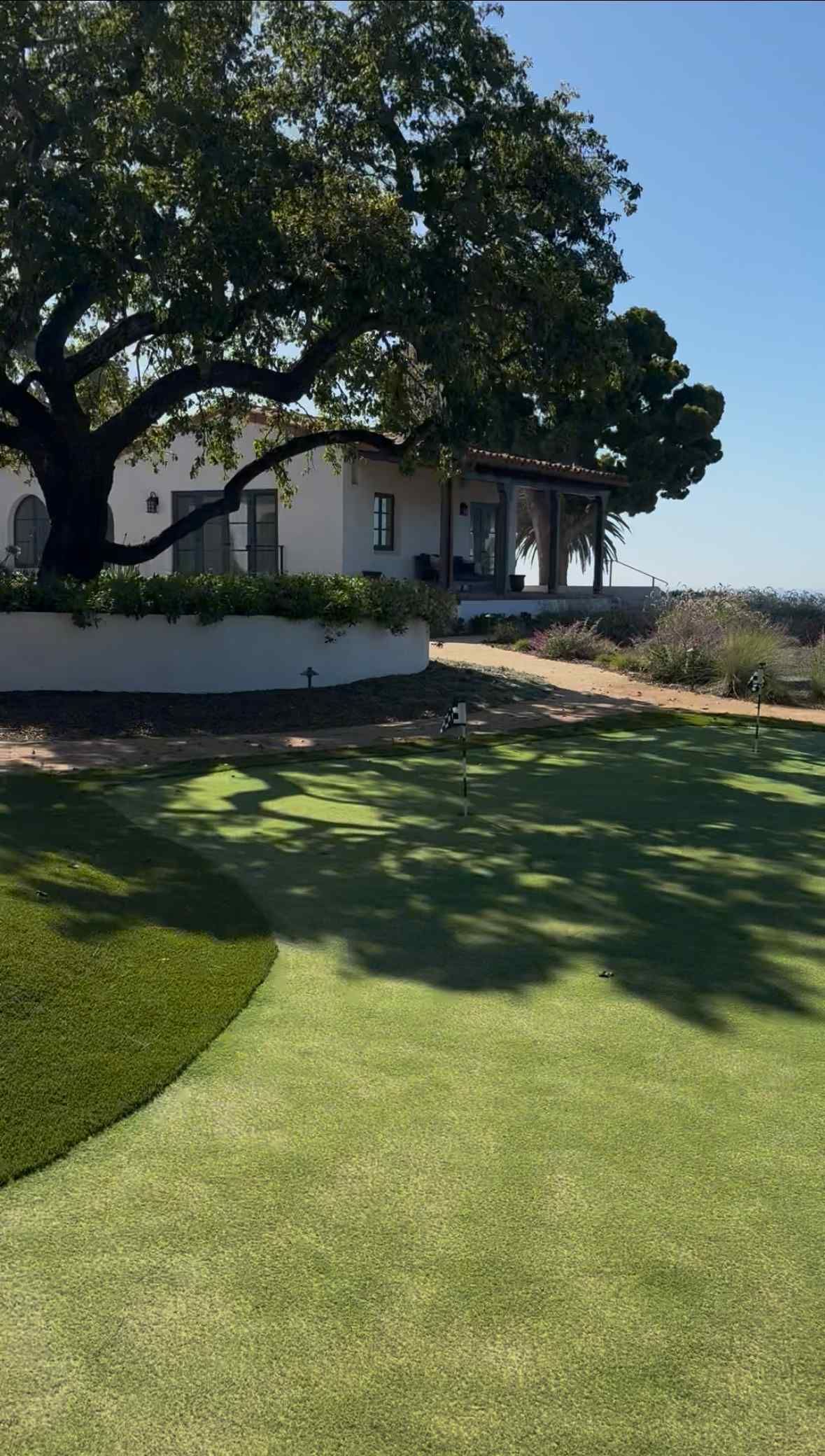 Sunlit lawn with a large tree and a house in the background, overlooking the water