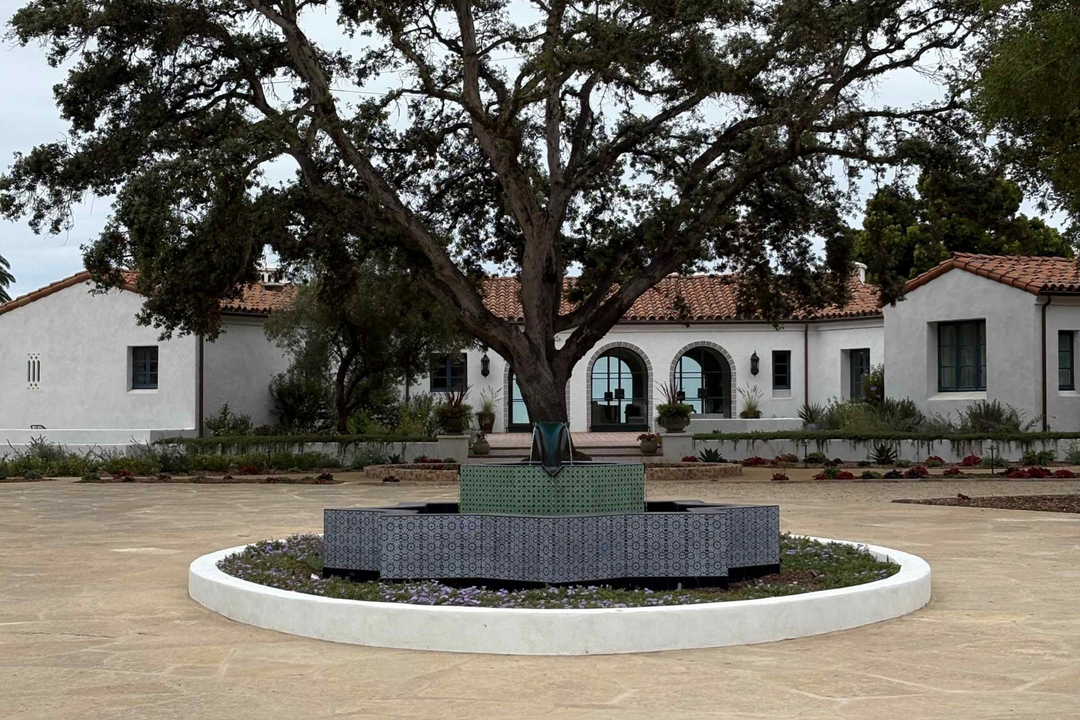 Courtyard with a large tree and circular bench in front of white buildings