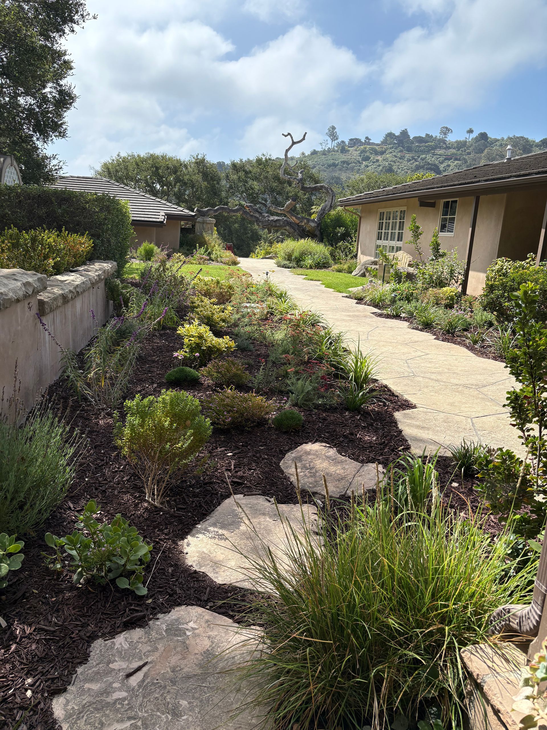 Garden path with stone steps, green shrubs, and a small house under a bright sky
