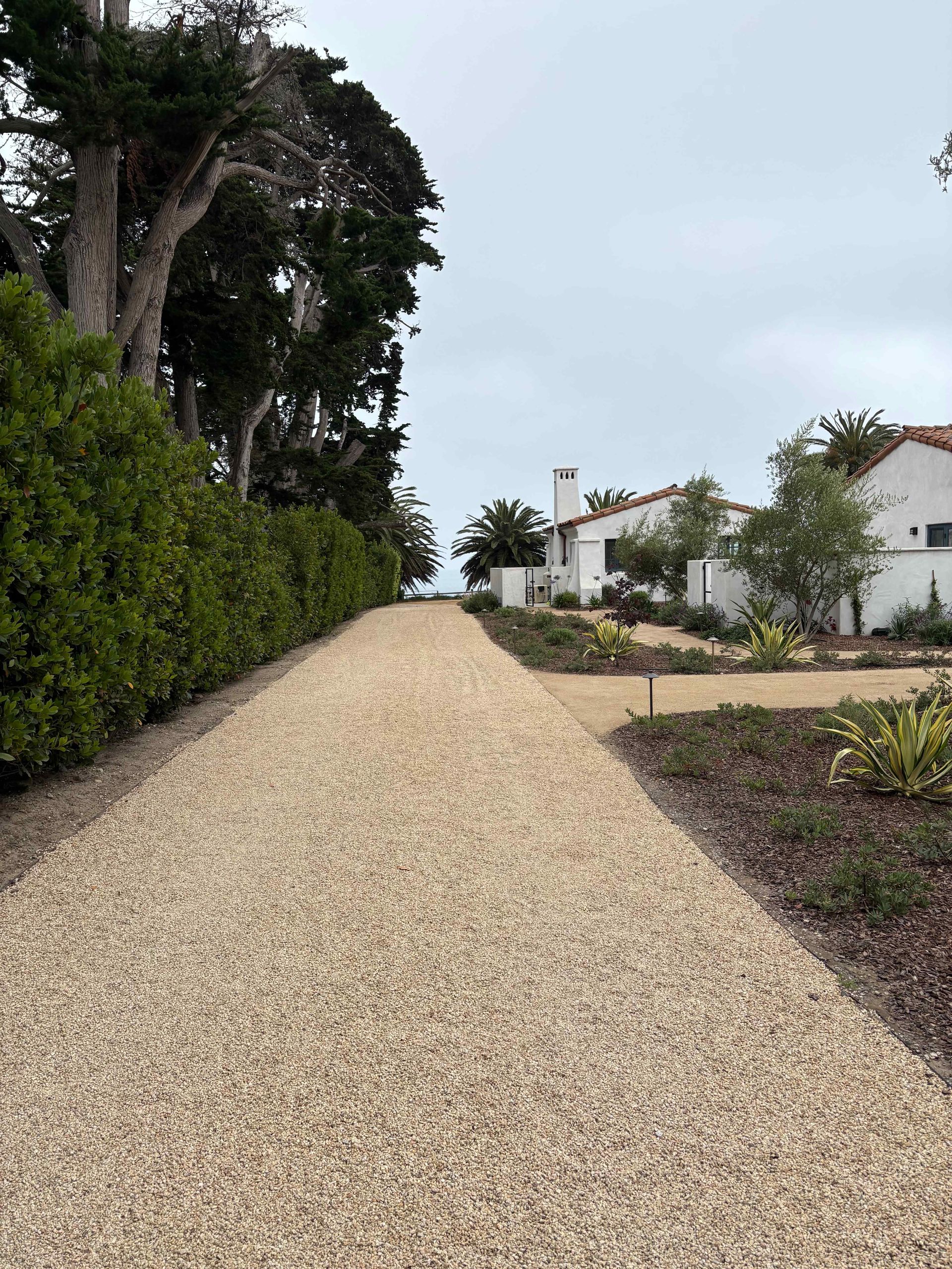 Gravel path beside hedges and trees leading to white buildings under an overcast sky