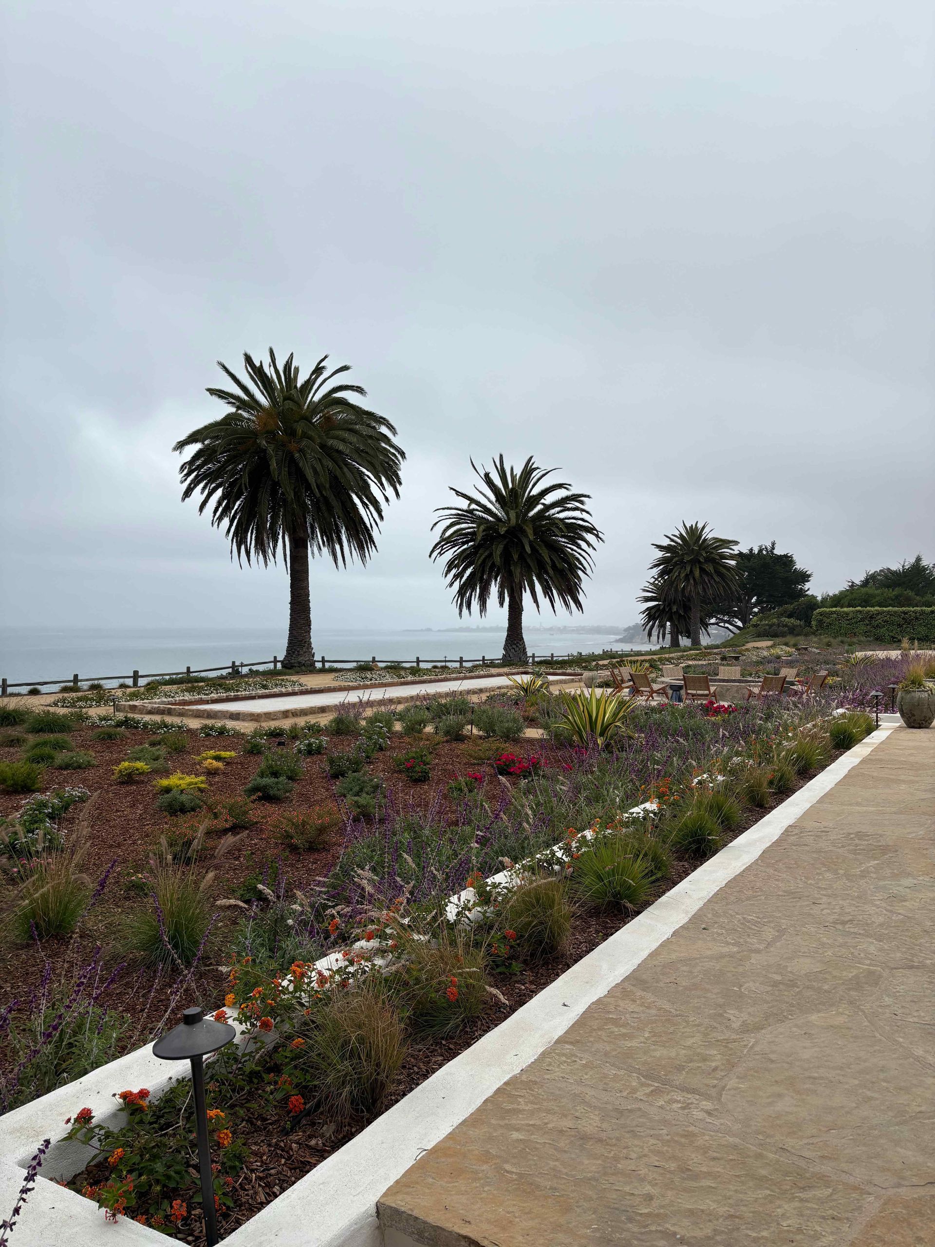 Seaside garden path with colorful flowers, palm trees, and a cloudy sky