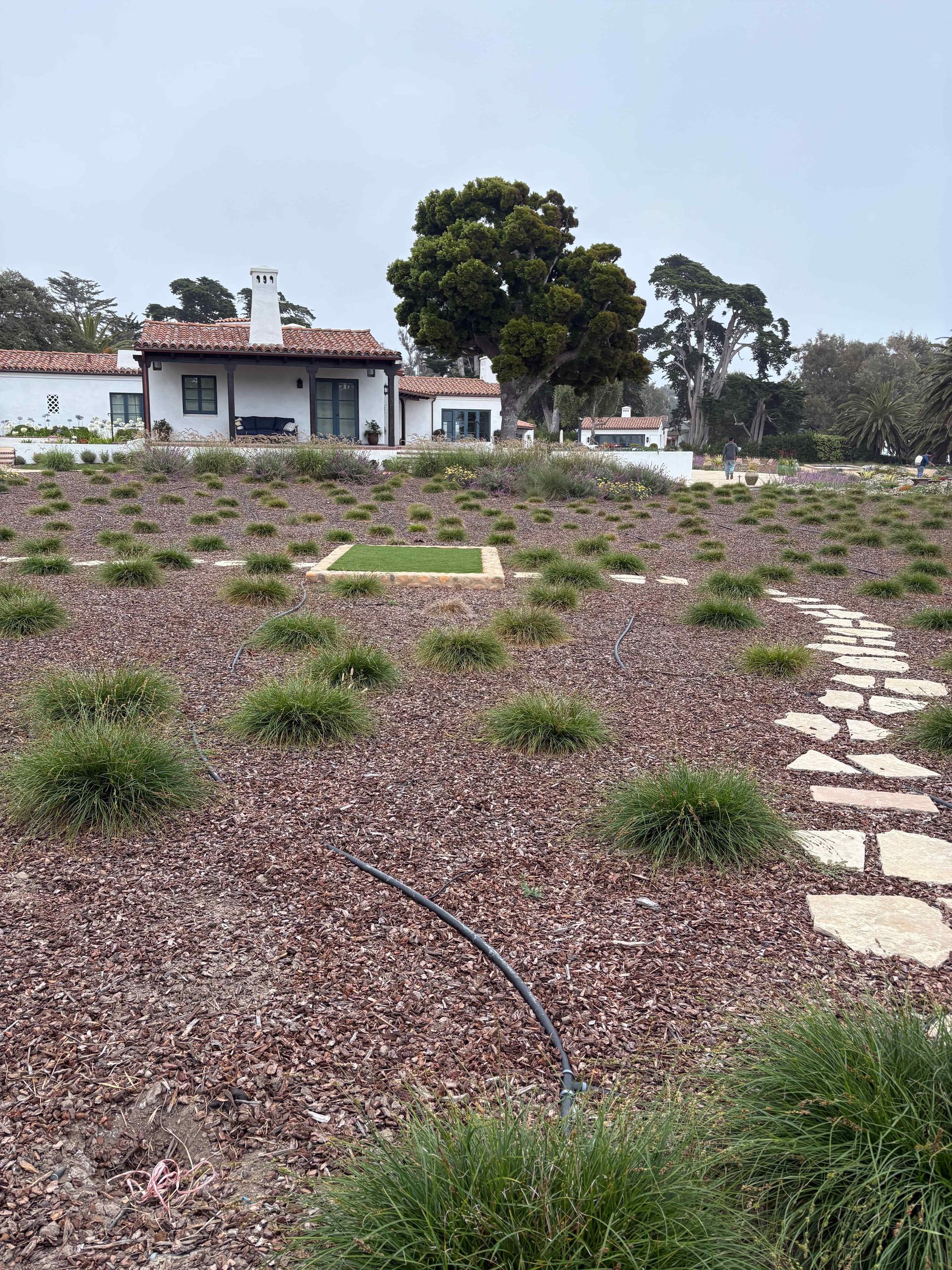 Landscaped yard with stepping-stone path, shrubs, and a white house in the background