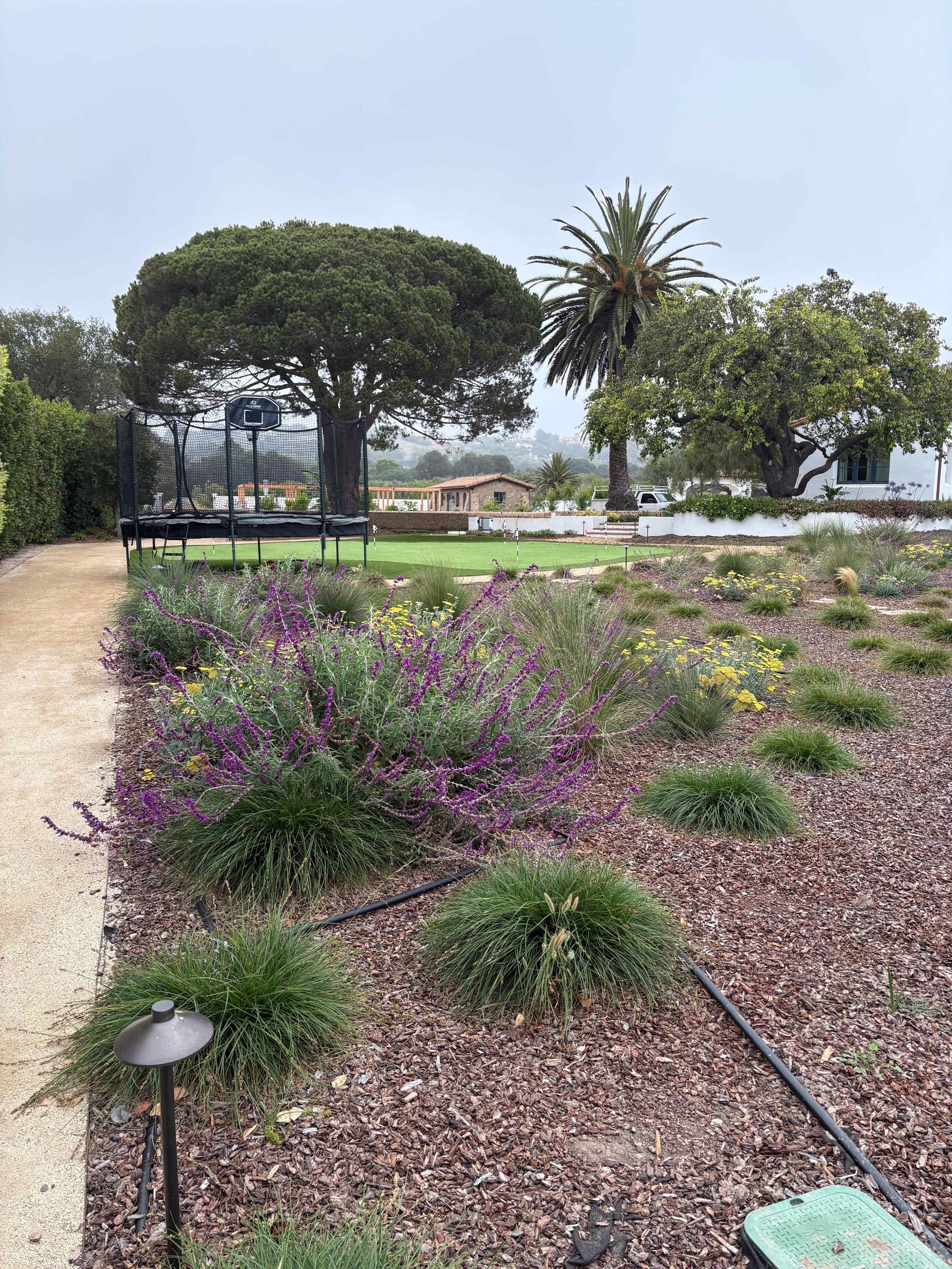 Landscaped garden with purple flowers, trees, and a path beside a waterfront park