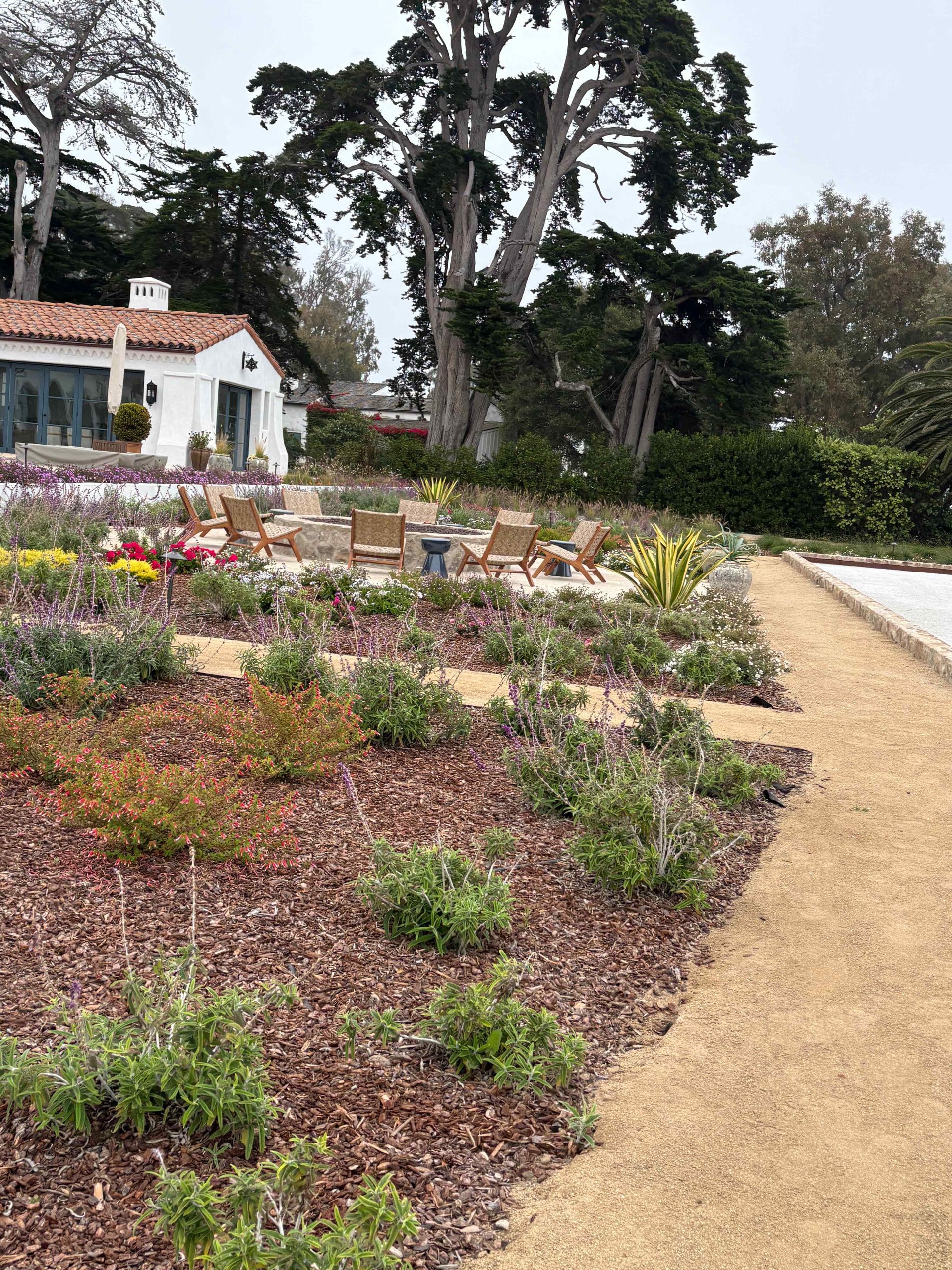 Colorful garden bed beside a gravel path, with a small white cottage and tall trees in the background.