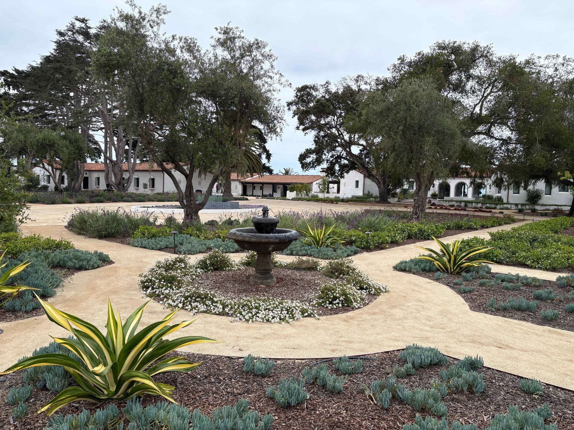Landscaped garden with a central fountain, yellow flowers, agave plants, and trees in a plaza