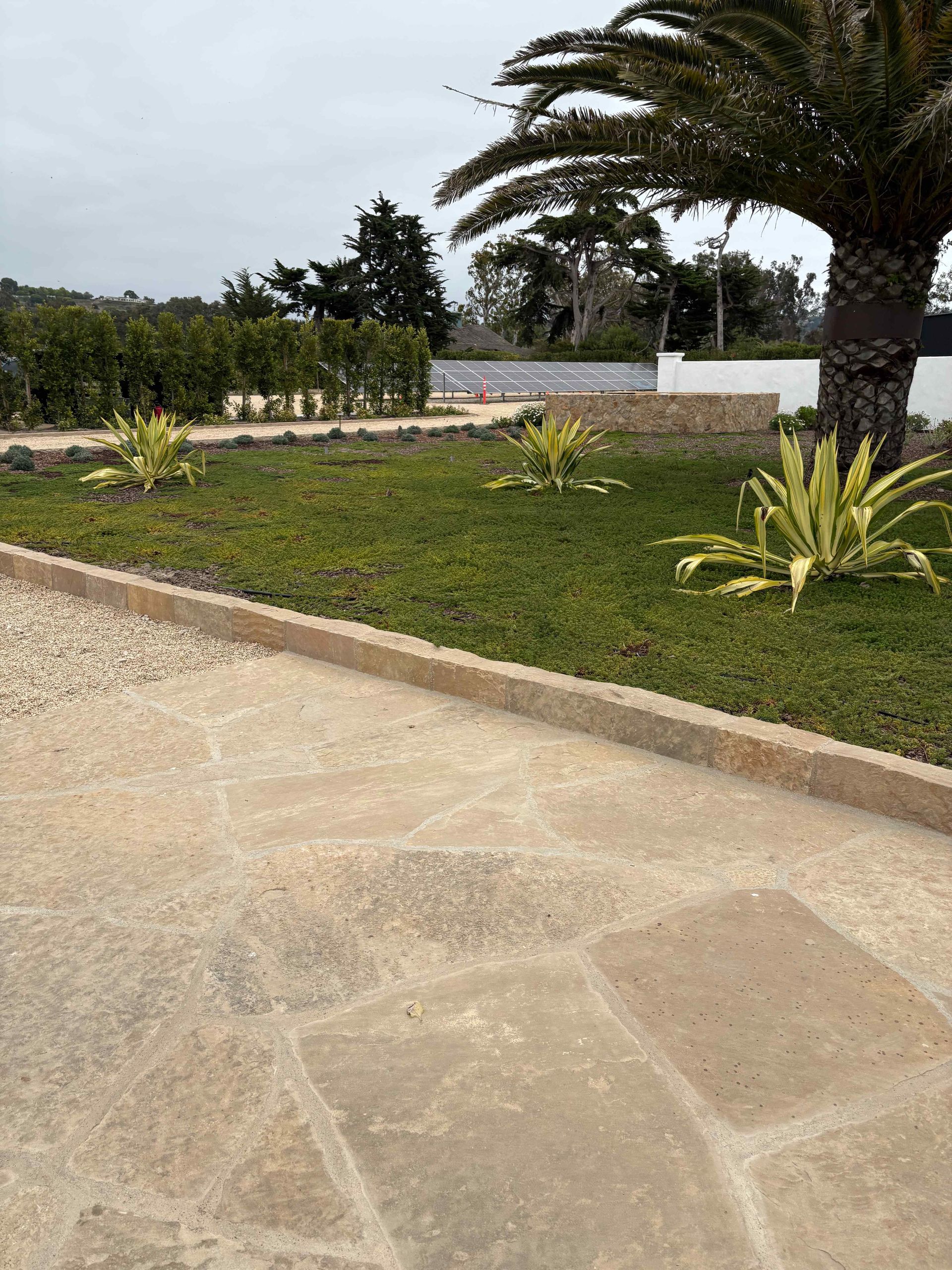 Garden with stone walkway, trimmed grass, and a palm tree under a cloudy sky.