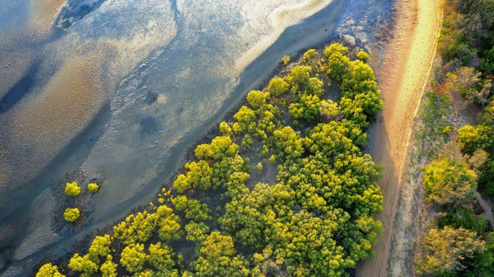An Aerial View of a River Surrounded by Trees and a Dirt Road — Michelangelos Pizza & Pasta in Hermit Park, QLD