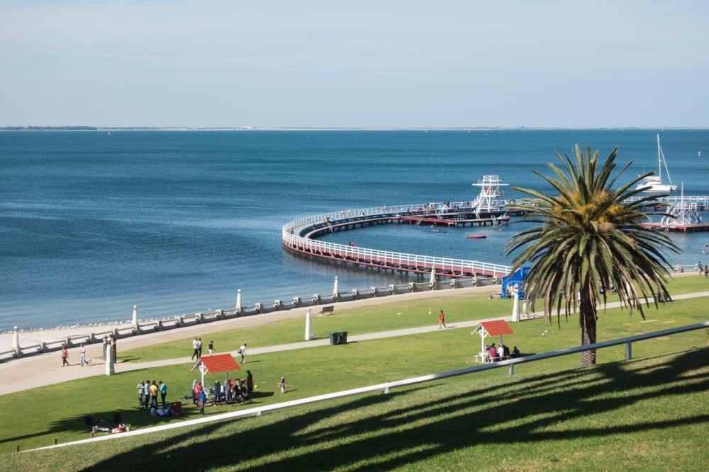 There is a Palm Tree in the Foreground and a Pier in the Background — Michelangelos Pizza & Pasta in South Townsville, QLD