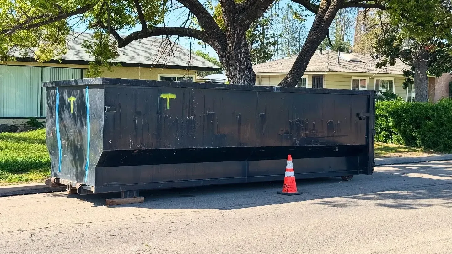 Large black dumpster on asphalt street, with a traffic cone in front and houses and a tree in the background.