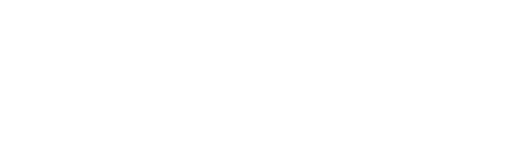 White horizontal rectangular bar with a dark border on a white background.