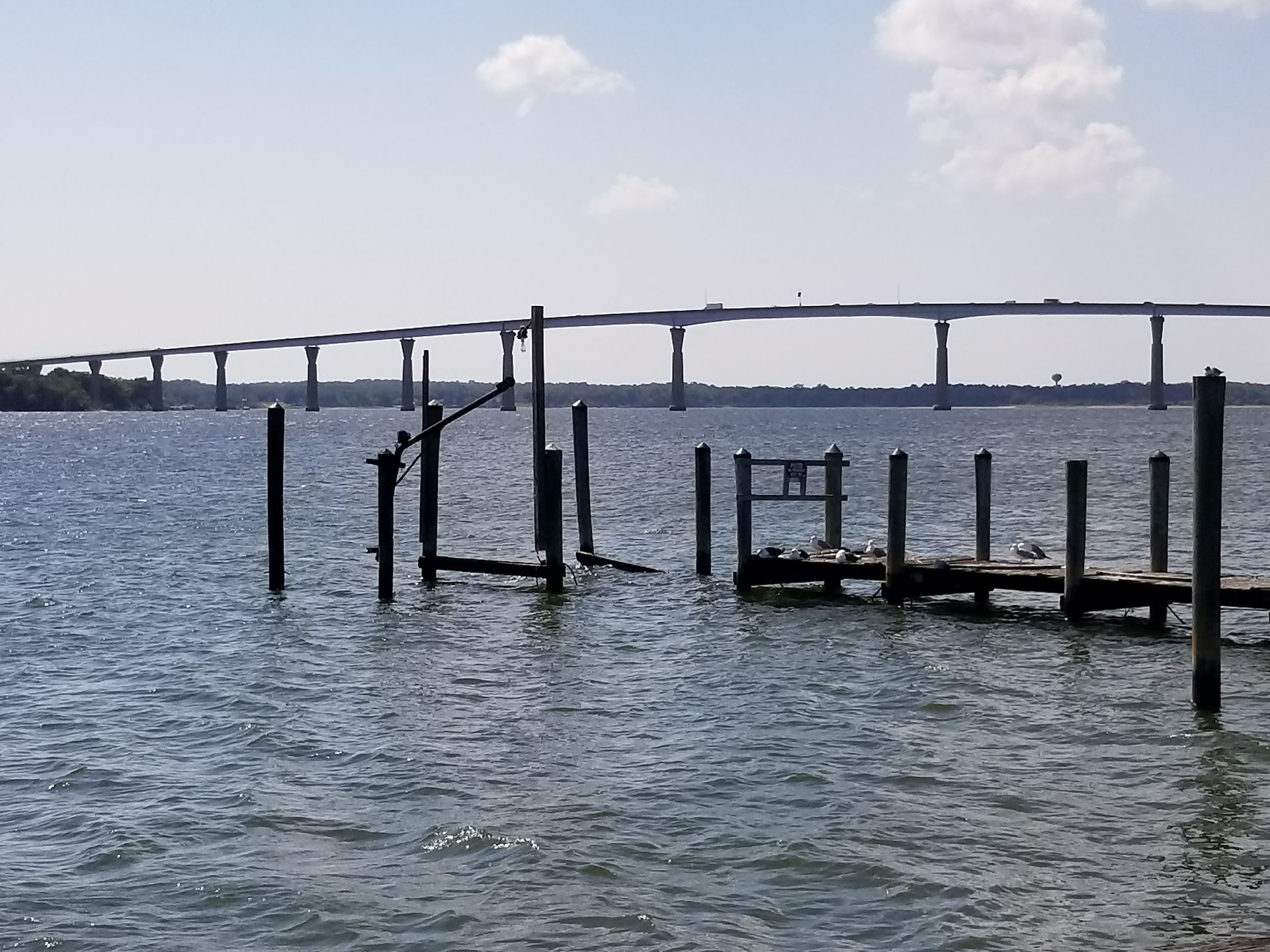 Solomons MD