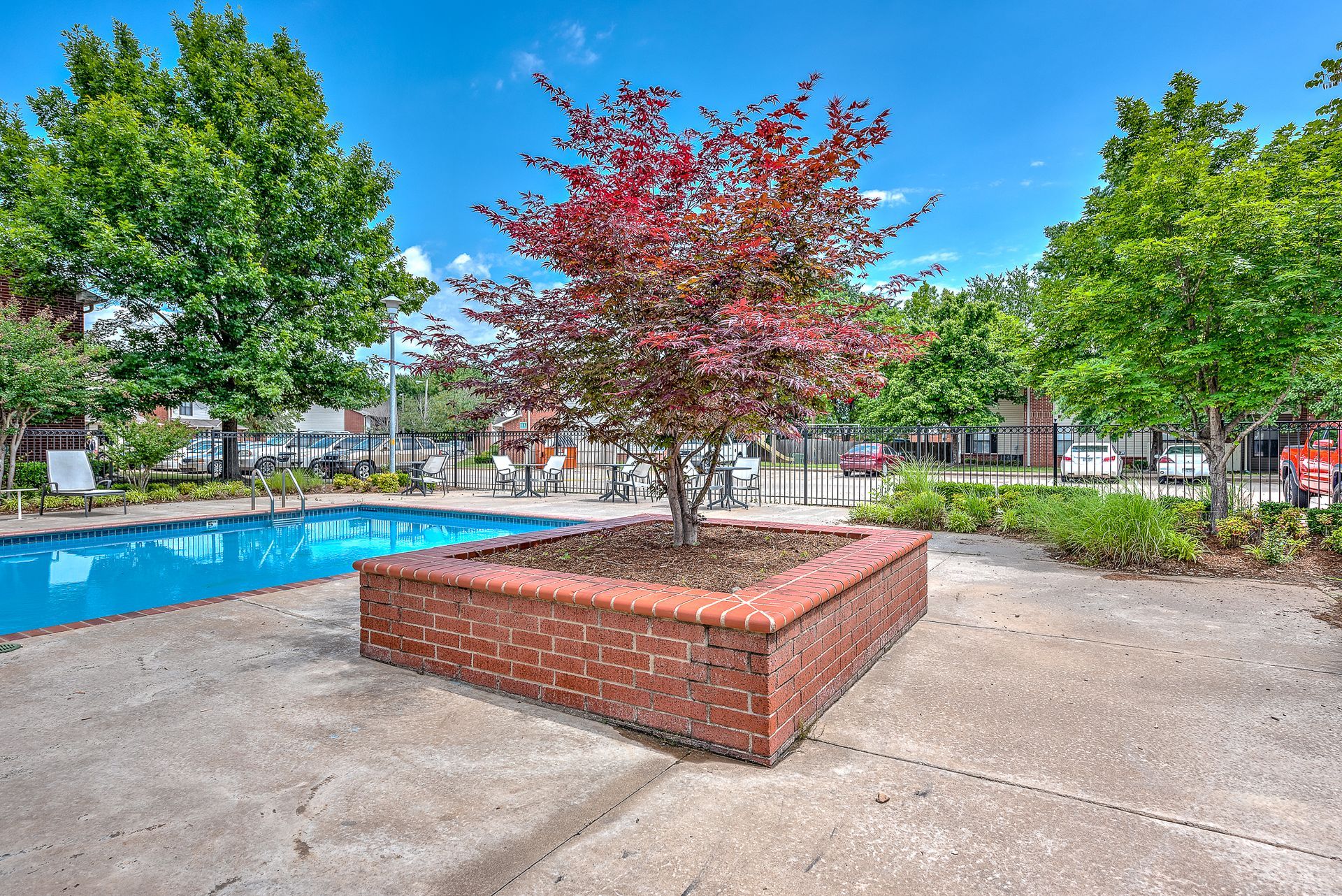A tree is in a brick planter next to a swimming pool.