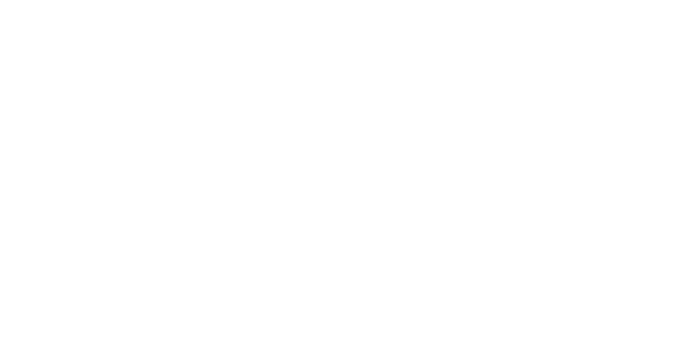 TDP Professional Palermo Logo TDP Professional