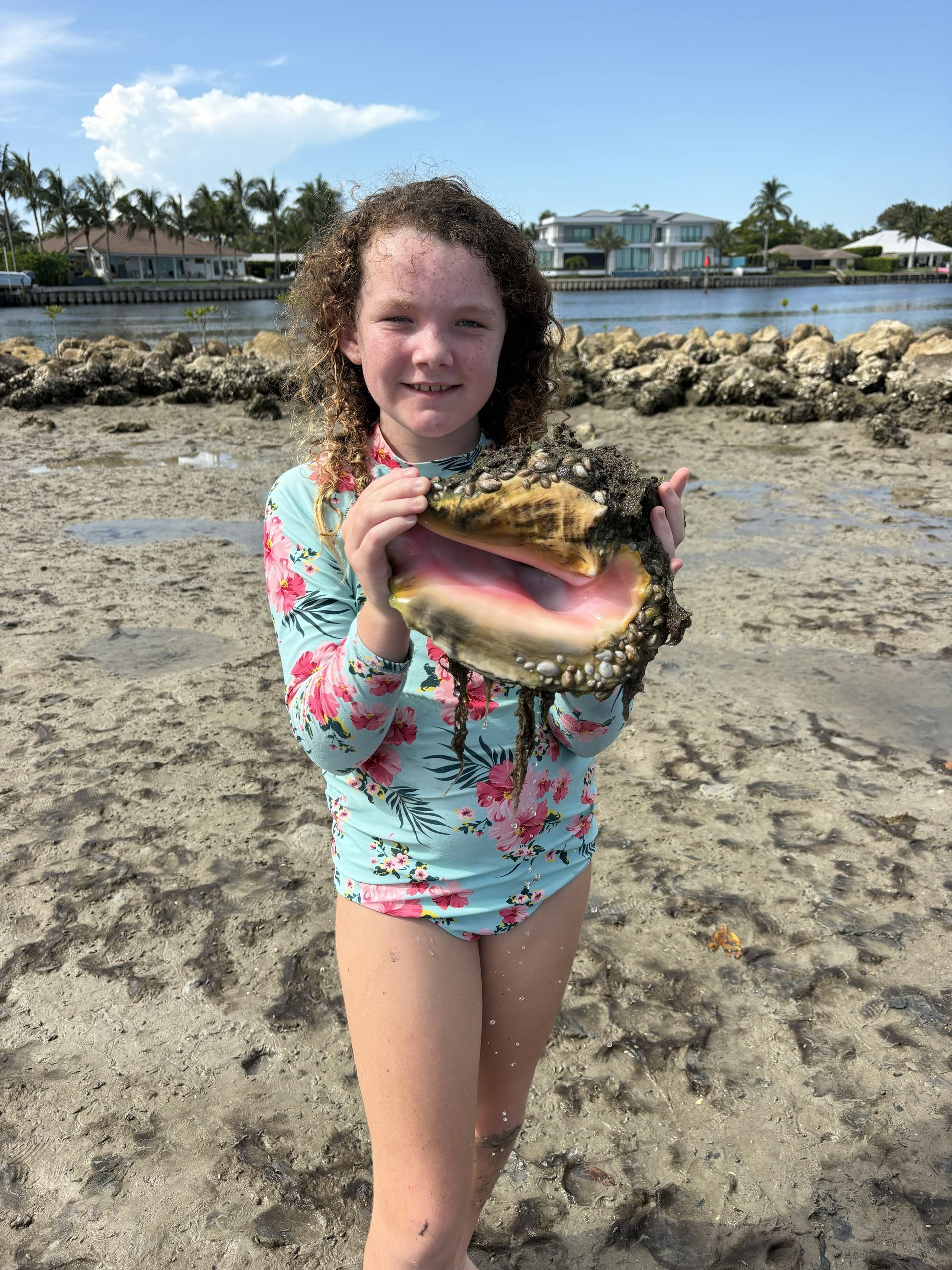Child on a beach holding a large conch shell, with rocks and water in the background.