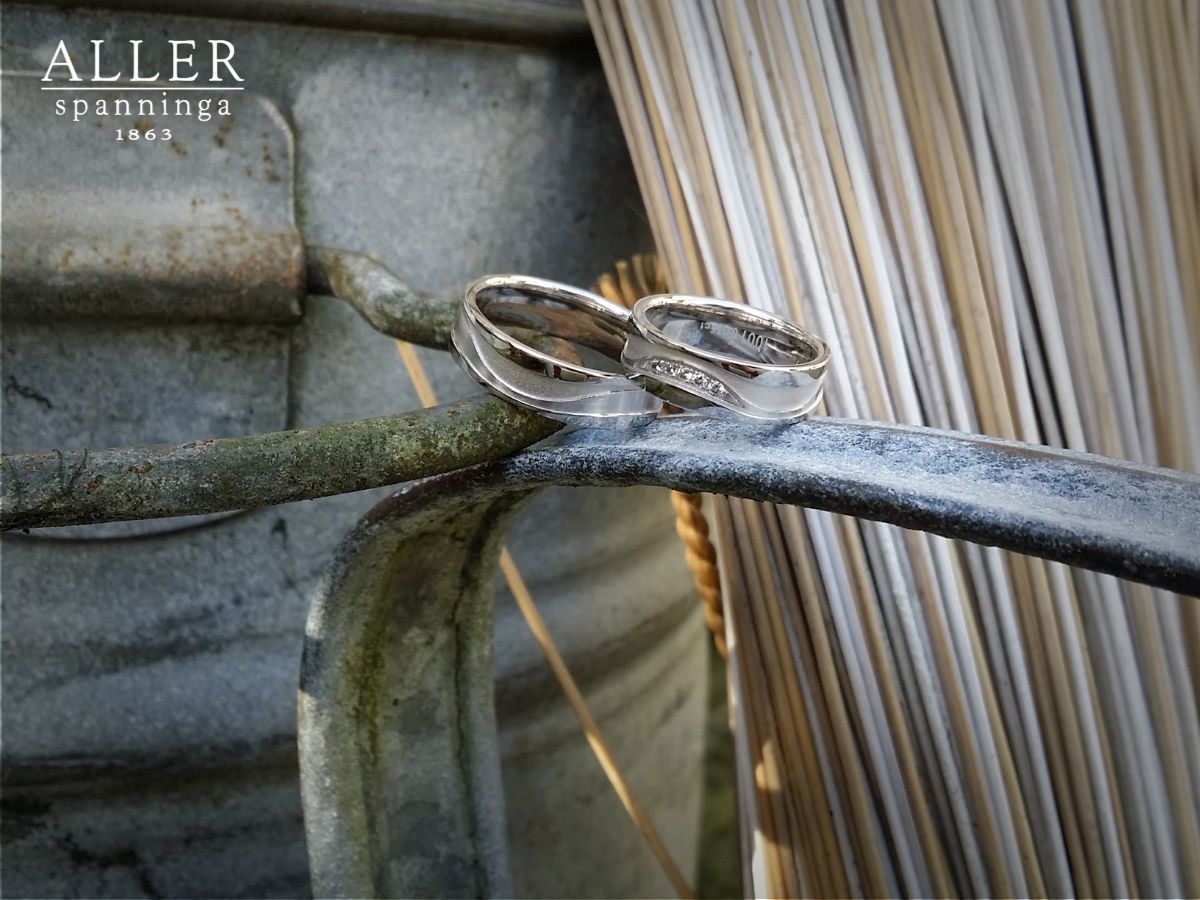 Trouwringen op een metalen balustrade; onscherpe achtergrond van bruine bamboestengels en verweerd metaal.