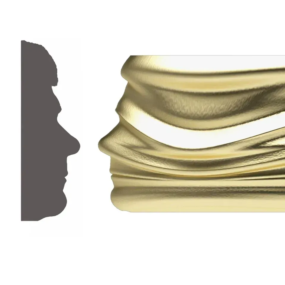 Silhouetprofiel naast een gouden, gelaagde sculptuur van een profiel.
