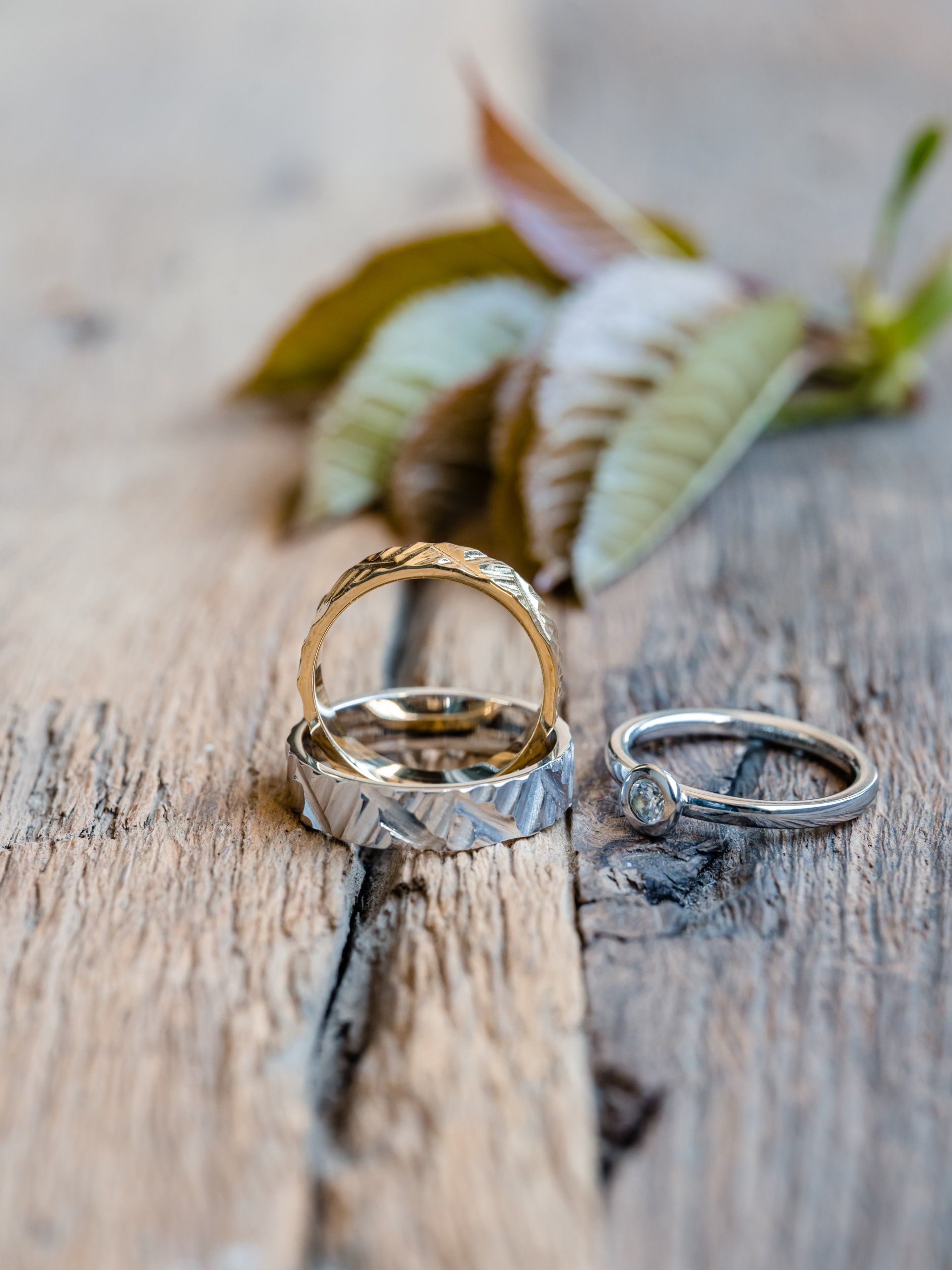 Drie gestructureerde ringen op een verweerd houten oppervlak met wazige bladeren op de achtergrond.