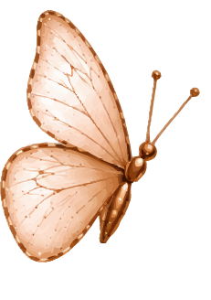 Kupferfarbener Schmetterling mit durchscheinenden Flügeln und aufgestellten Fühlern auf weißem Hintergrund