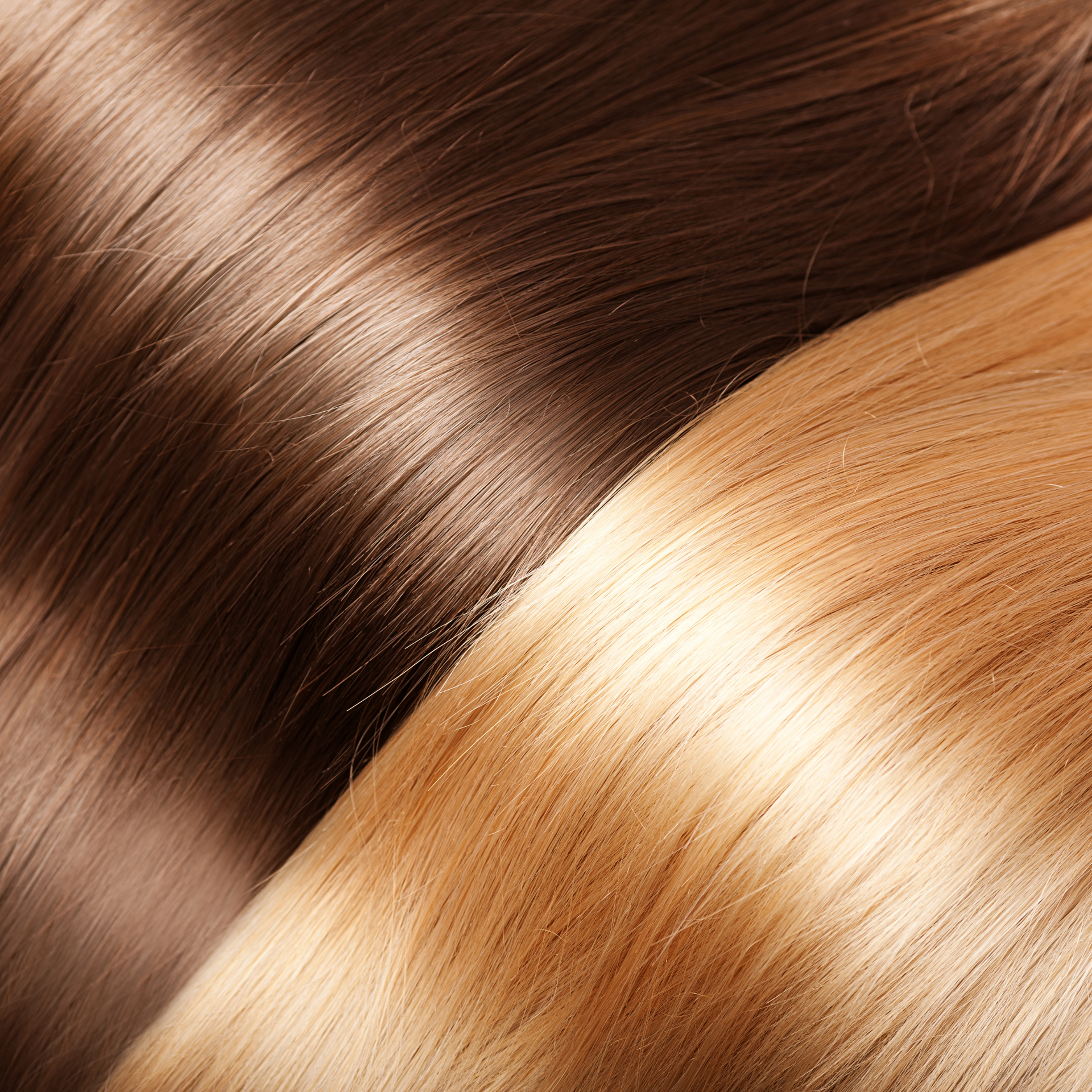 Primer plano de mechones de cabello castaño y rubio brillantes que se cruzan en diagonal.