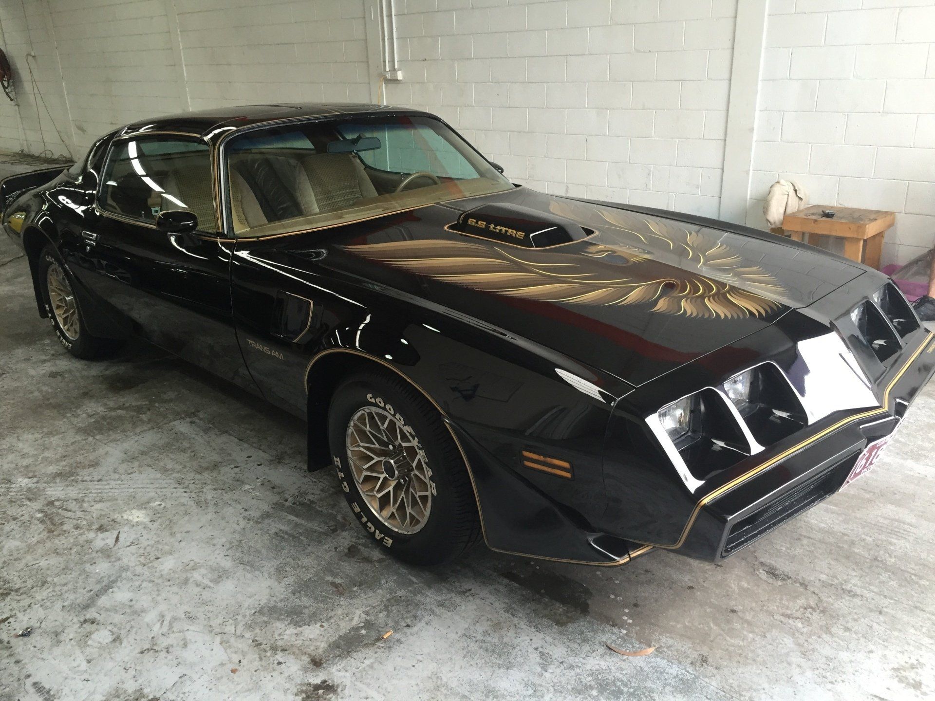 Ceramic Paint Protection Coatings Application Service Latest Nano Technology
