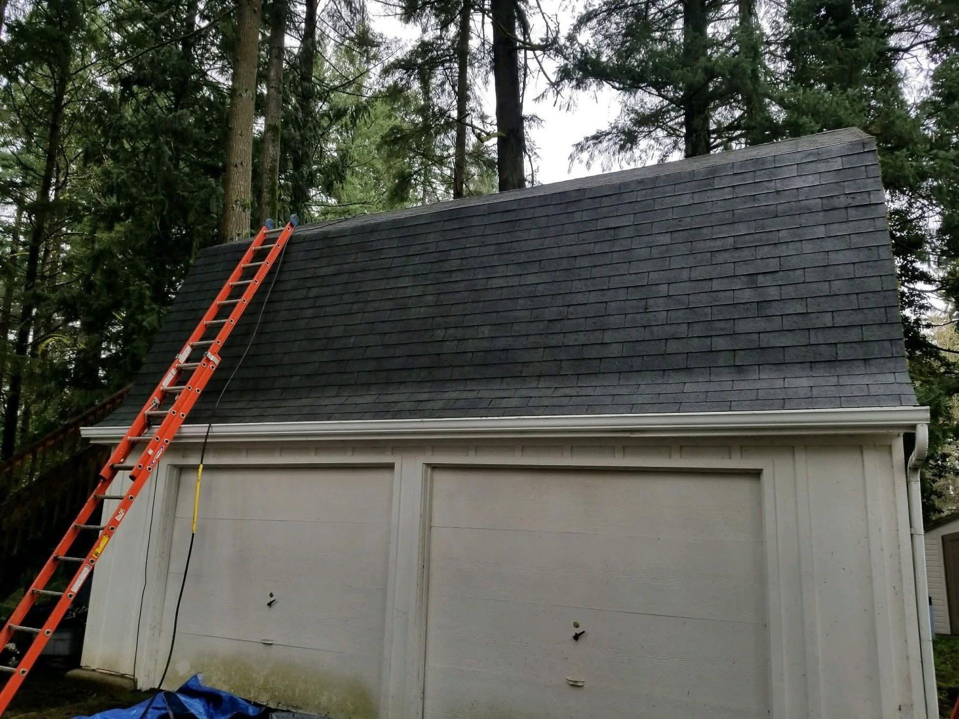 Orange ladder leaning on a white garage roof in a wooded area