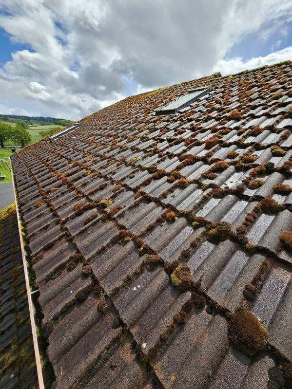 Close-up of a wet, mossy tiled roof under cloudy sky