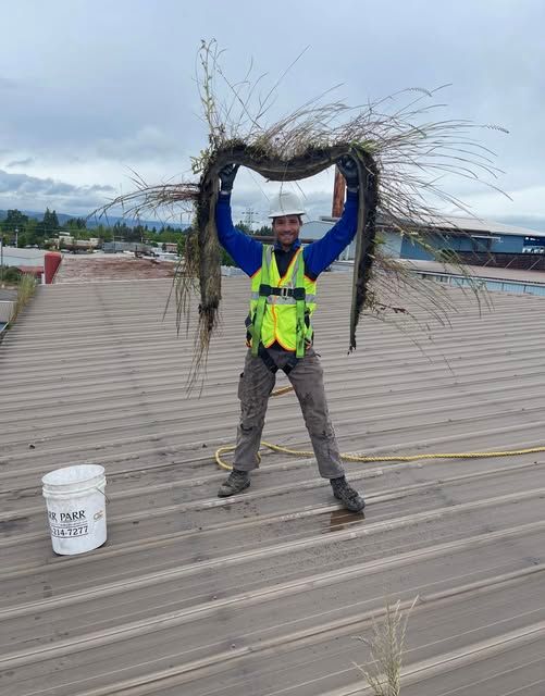 Worker in neon vest holding a bundle of branches on a rooftop under a cloudy sky.